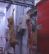 th3-usa-glisanta-pentru-spatii-frigorifice